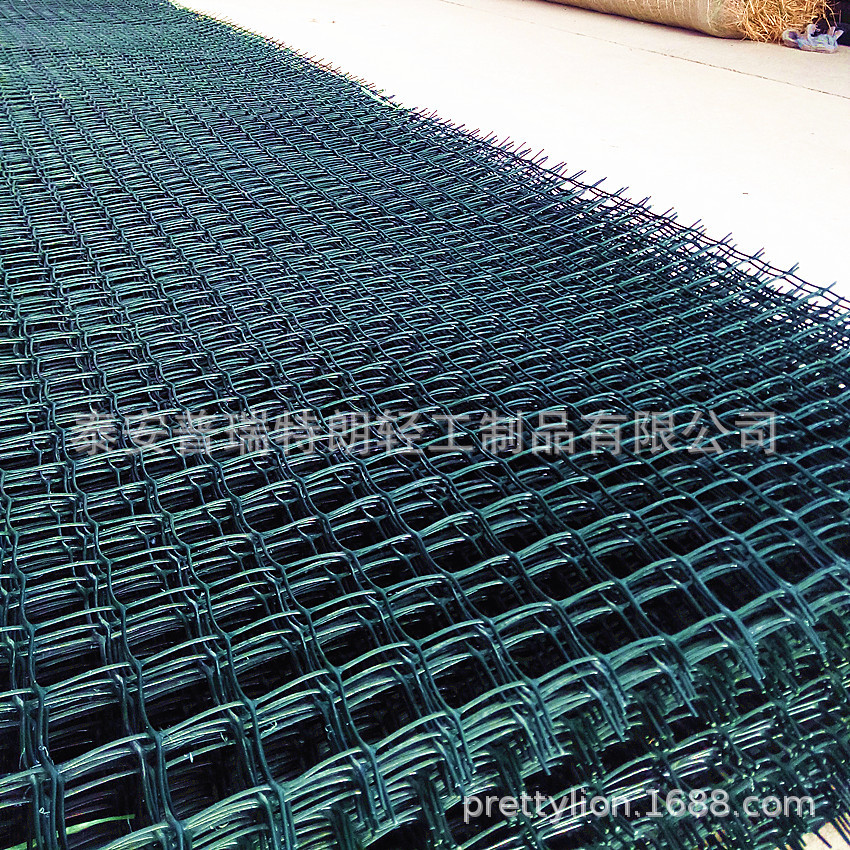 厂价直销塑料方格网 园艺方格网 塑料格子栅 用于防护围栏