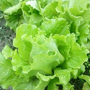 �ļ��߲��������� ���m����������Գ��۠I�Bѿ��� ����ُ���N��