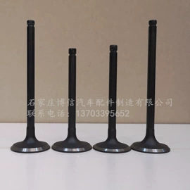 气门及部件;摩托车配附件