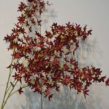 �����m���滨��c���ܙѻ���Y�b�ˇ��c��̨�zӰ�������m��