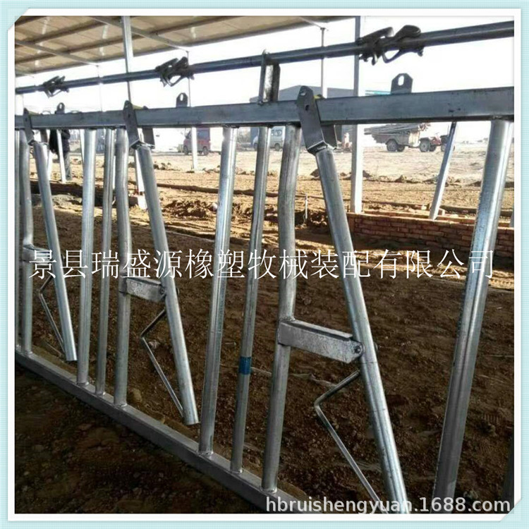 奶牛挤奶机配件 畜牧养殖设备 牛颈枷 牛卧床 厂家供应