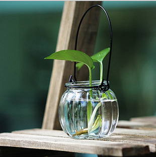 供应水培玻璃器皿 南瓜吊瓶 铁丝南瓜瓶 铁丝南瓜吊环 水培容器