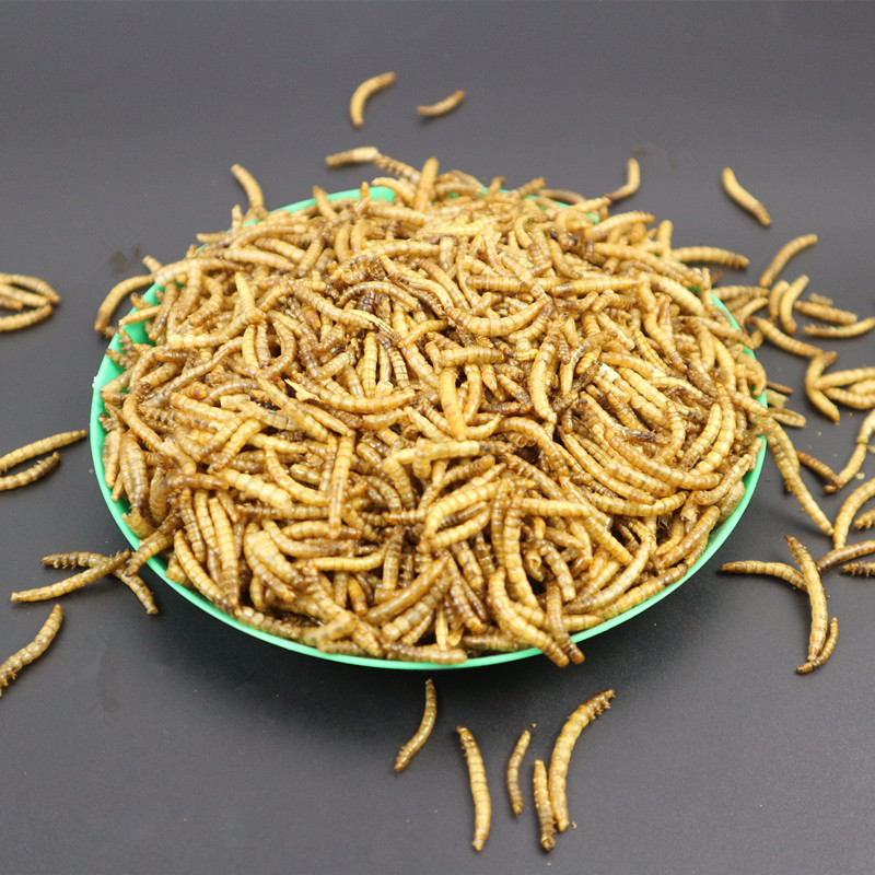 Wholesale Dried Mealworms Dried Mealworms Turtle Grain Hamster Feed Fish Food Fish Feed Pet Feed 1kg