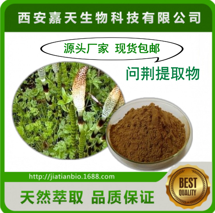 问荆提取物 问荆提取物有机硅7% 问荆提取物生产厂家 多种规格