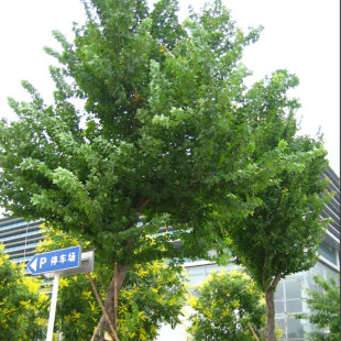 ���ع������Ǘ� �е��� �L���� �@�־G������ ���Ǘ��� Ҏ���Rȫ