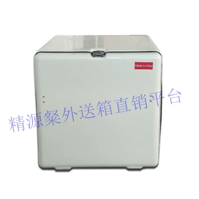 Pizza Delivery, Electric car tail box