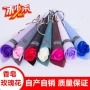 单支活动母亲节教师节肥皂花