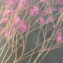 �W�� �����W �B��ȹ����ȹ�W�� ��ʿ�W tutu�� �^�V�W �W��