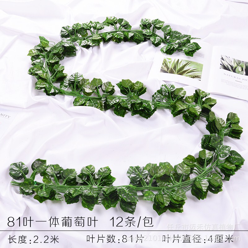 81 piezas de hojas de uva 1 paquete (12 piezas)