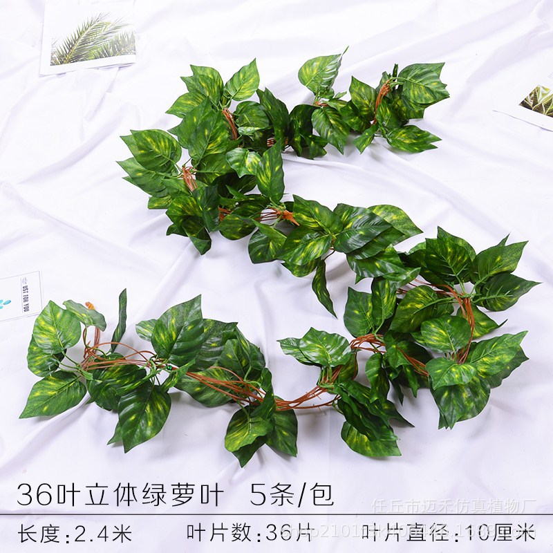 36 hojas de rábano verde tridimensional 1 paquete (5 piezas)