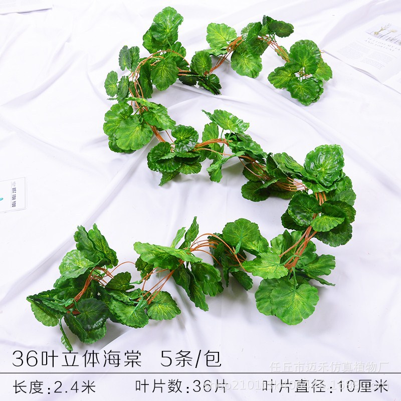 36 piezas de Begonia tridimensional 1 paquete (5 piezas)