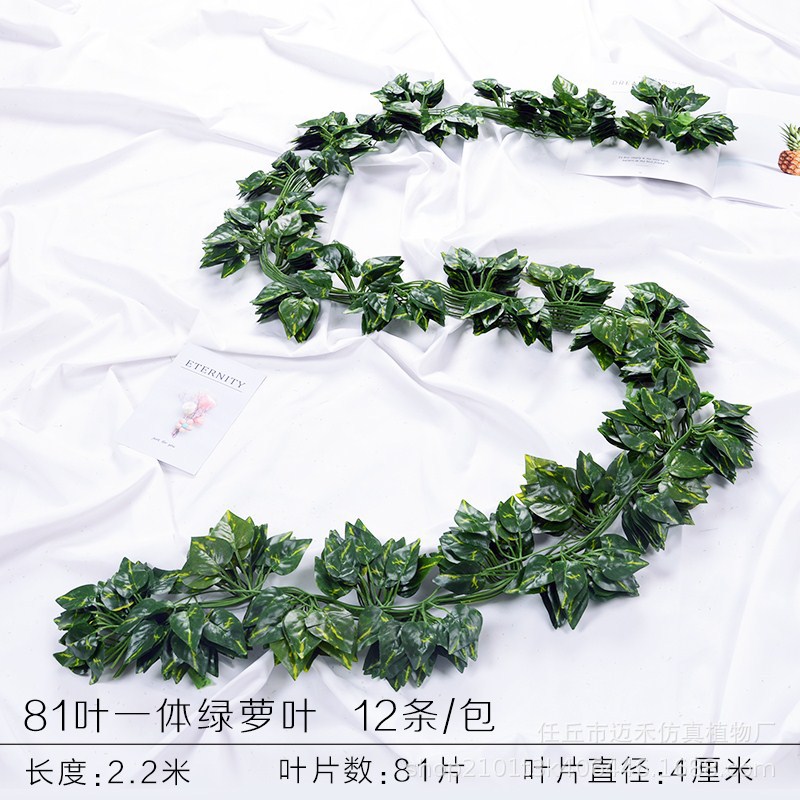 81 hojas de rábano verde hojas 1 paquete (12 piezas)