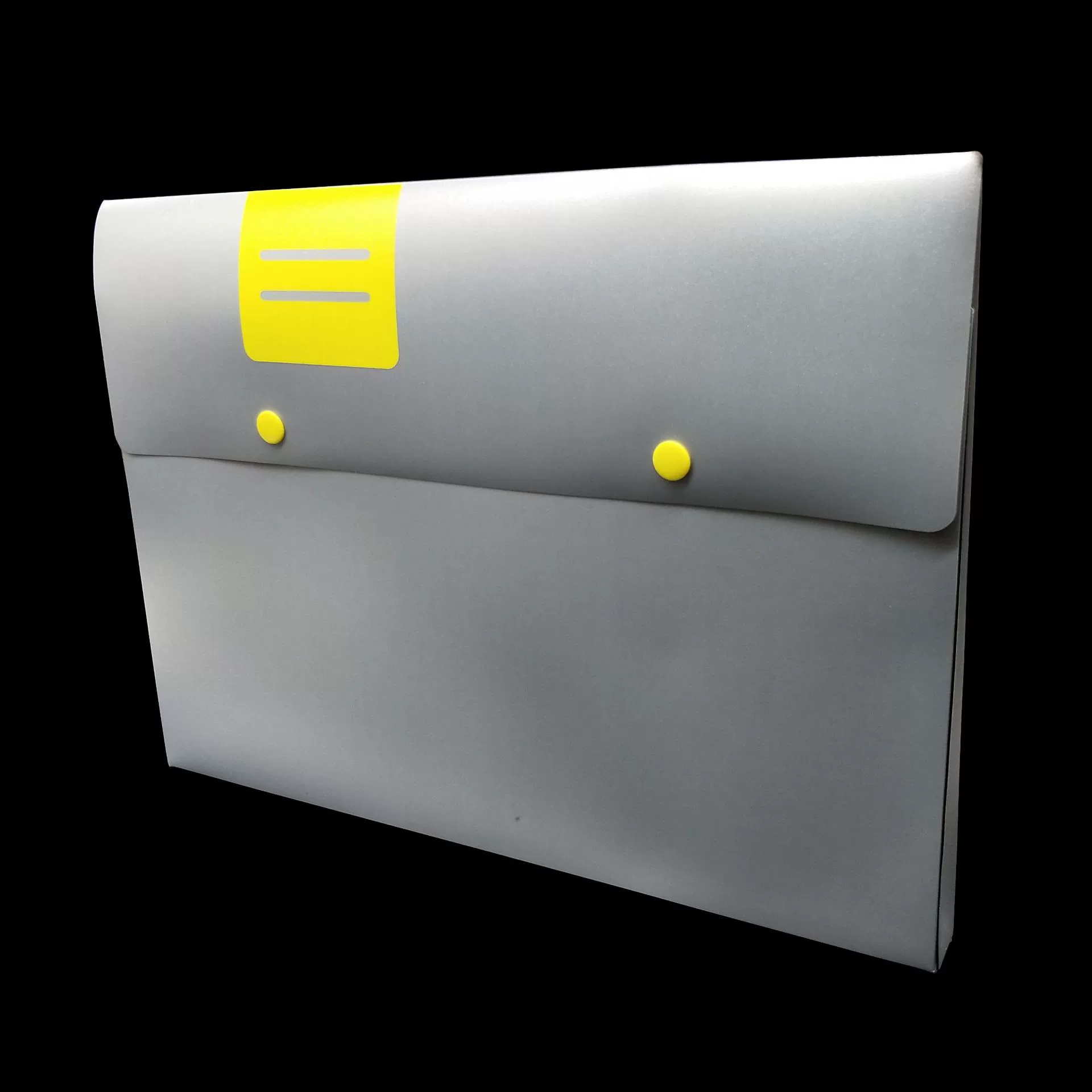 Organ for folders, folder, storage bag