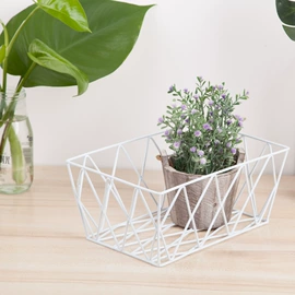 烧烤架烧烤网;收纳篮/筐;果盘、果篮