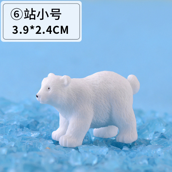 6 방송국 스몰 사이즈