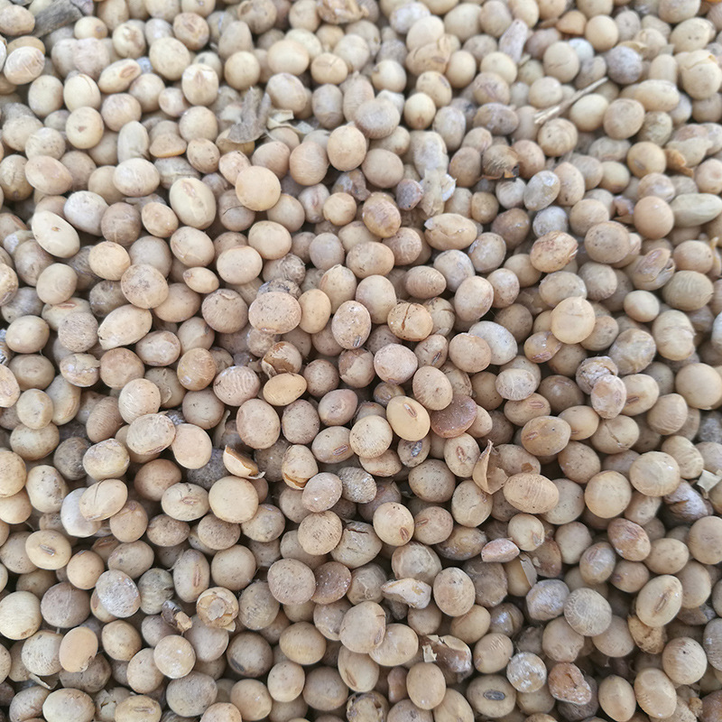 l厂家直销 供应各种规格的 大豆，轻度霉变 霉变饲料