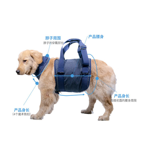 Amazon cross-border pet dog leash, elderly dog ​​walking portable auxiliary harness, dog auxiliary clothing