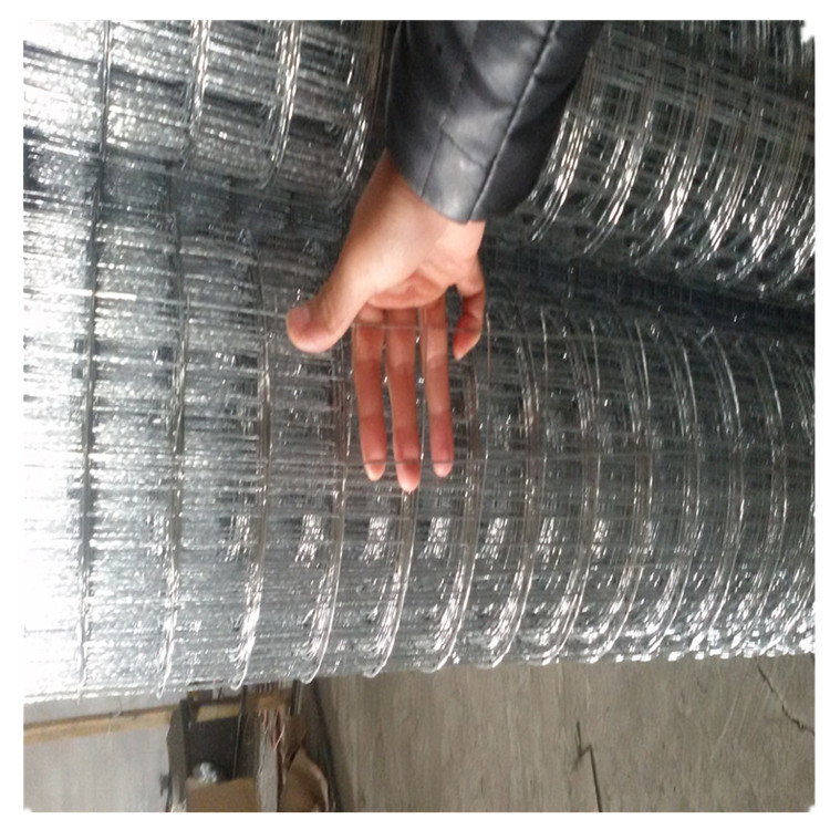 内外墙面水泥保温 电焊网厂家销售卷造型铁丝网建筑销售批发