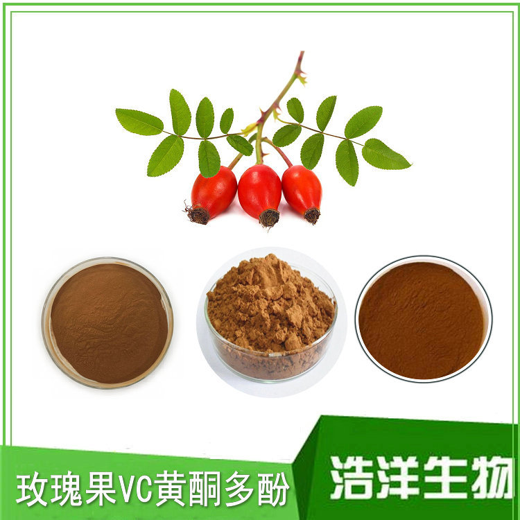 玫瑰果黄酮20% 玫瑰果提取物VC  玫瑰果多酚 刺玫果提取物