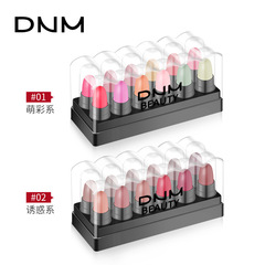 DNM set of 12 colors lipstick boxed velvet matte lip gloss matte color changing gilt jelly cross-border exclusive