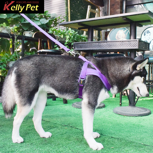 kellypet pet supplies factory diving material dog harness nylon dog leash set pet harness