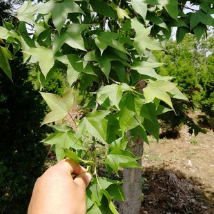 �������Ǘ����� ��ѿ�������޼�֦ϵ�l�_�ͺ� ���Ǘ�����