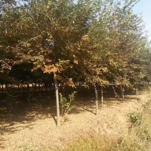 �Θ�������l �t�Θ乤�̈@�ֵ�·�G������ľ�Θ��СҎ���� �Θ�