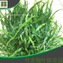 �������~�F�ʹڻ��wˮ��ˮ���~�~���^�p�쾰��ˮ�����l���ˮ��