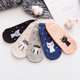 ����Ů���m���A�cС؈�����Ůʿ�m�Ӝ\���[�ΌW���m�����l