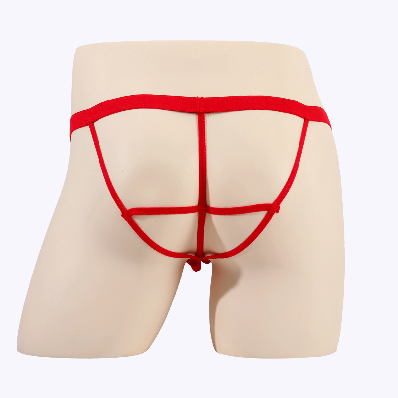 Men's underwear sexy transparent mesh fun briefs foreign trade JJ set thin hip thong T pants 2131