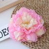 Diameter 15cm9 color peony flower head wedding decoration home decoration road leading flower wall with simulation flowers