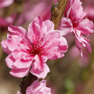 ����5������������6�����������҃r��8����10�����������Ҙ�r��