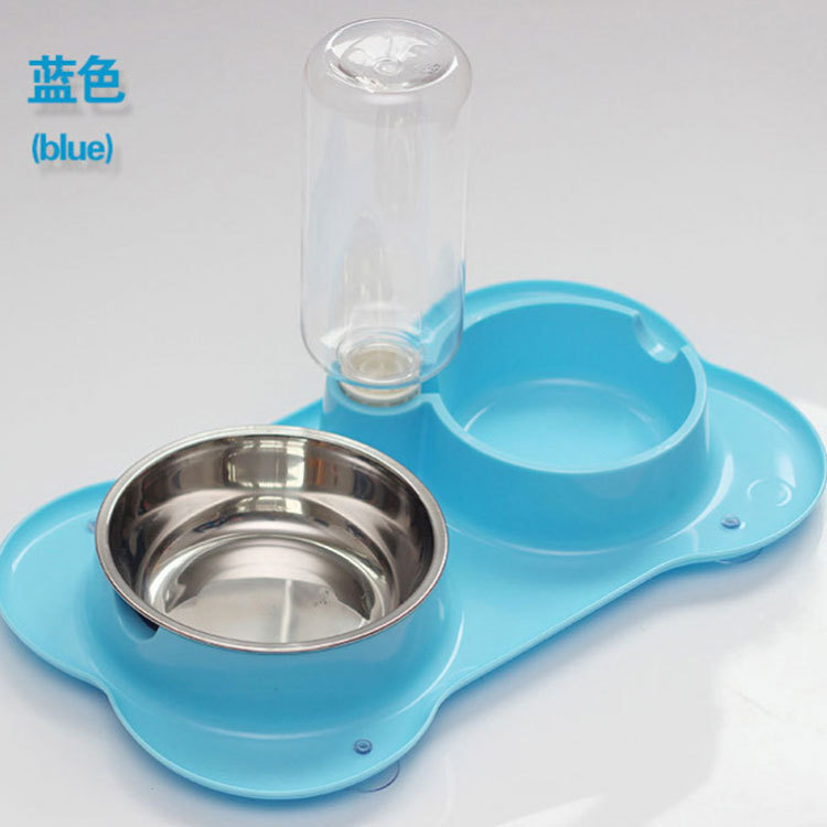 흡입 컵이있는 개 그릇