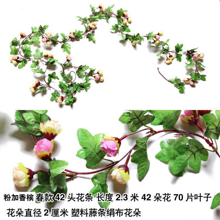 42 Rosa primavera con champán