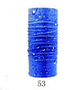 N ° 53