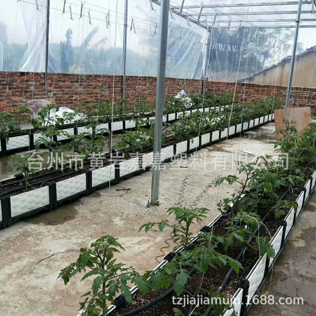 阳台花苗种植组合盆生产制作.房顶花苗种植箱隔热制作