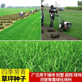 种子;其他园林资材;植保机械