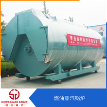 ȼ������偠t�S��ֱ��Ʒ�|�ɿ�WNS8����ʽ��ȼ���ܳ��ڌ���