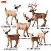 Solid white -tailed deer model (6 sets) [0.129kg]