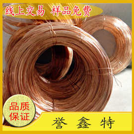 大量供应镀锡铜丝 TU2无氧紫铜线 电镀紫铜线 易焊接纯铜 可零售