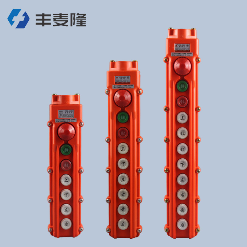 乐清日力COB-BH系列 防雨型起重机用按钮开关 电动葫芦控制手柄