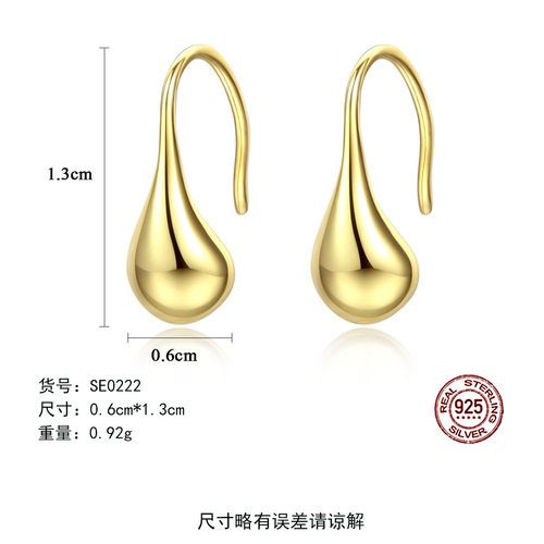 PAG&MAG all-over sterling silver earrings S925 silver earrings simple ear hook style earrings exquisite jewelry wholesale