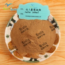 仙人掌提取物 比例提取物萃取蝴蝶亚仙人掌提取物 植提 现货供应