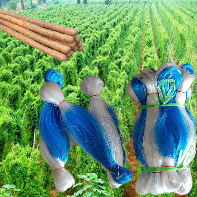 Planta escalada de vid Red de escalada rack Yam Net colgando melón pepino red frijol cuerno red escalada soporte de plantación neta fábrica al por mayor