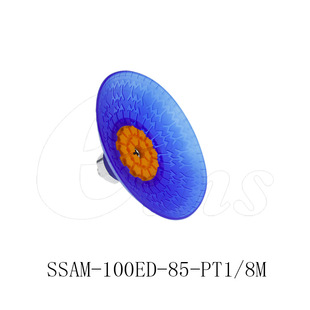 eins Star Tower Mechanical Sucker-thin Steel Plate with Φ103SSAXM-100-ED-85-PT1/8m