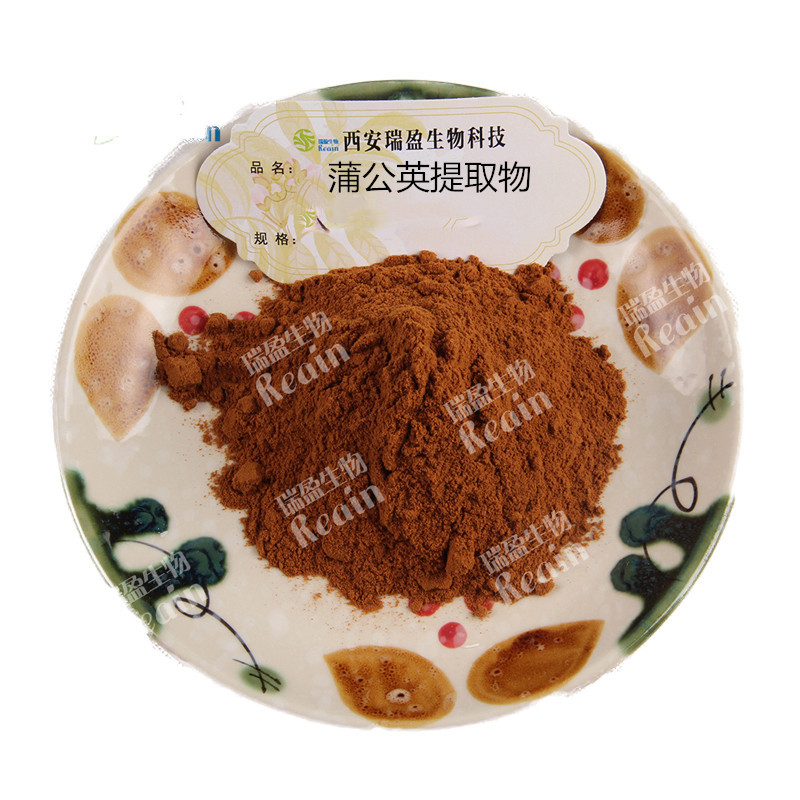 瑞盈蒲公英提取物 10:1比例蒲公英粉  蒲公英提取物量大優惠