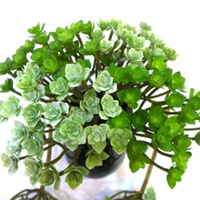 仿真植物 多头长枝卷边沙漠莲雪莲宝石莲 仿真多肉植物塑料仿真花