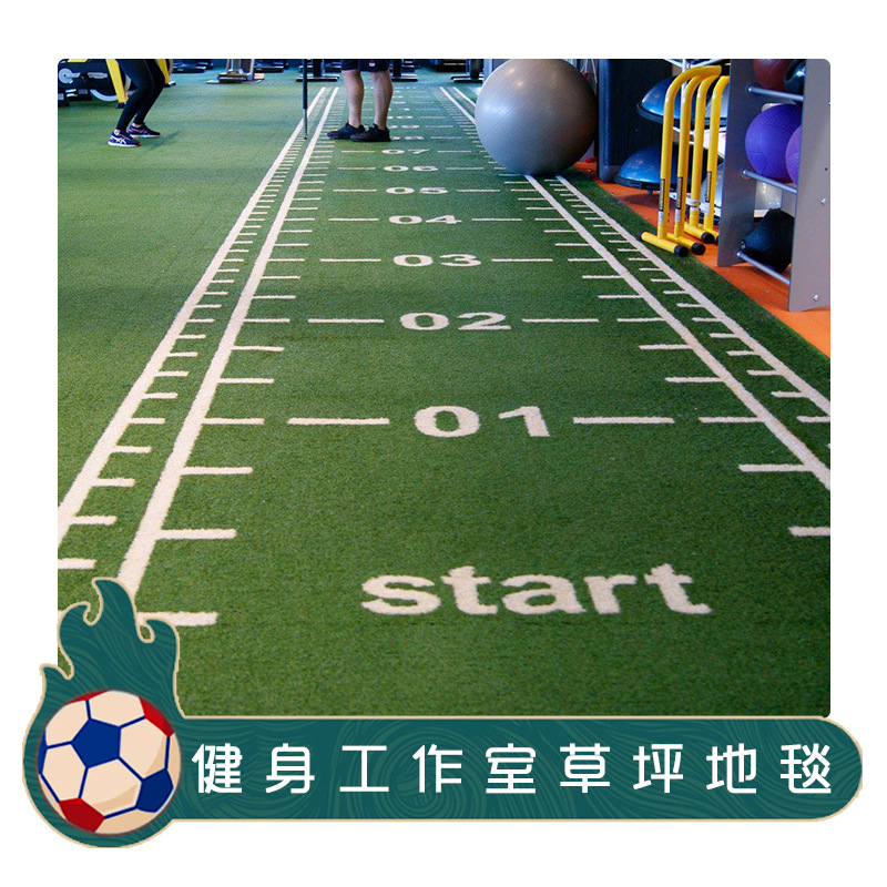 Indoor gym scale carpet artificial turf simulation artificial turf waterproof encryption private teaching lawn spot