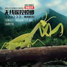 ң�ض�����봴��ң��С�����������ߵ綯���������������