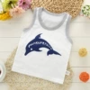 Mochi dolphin